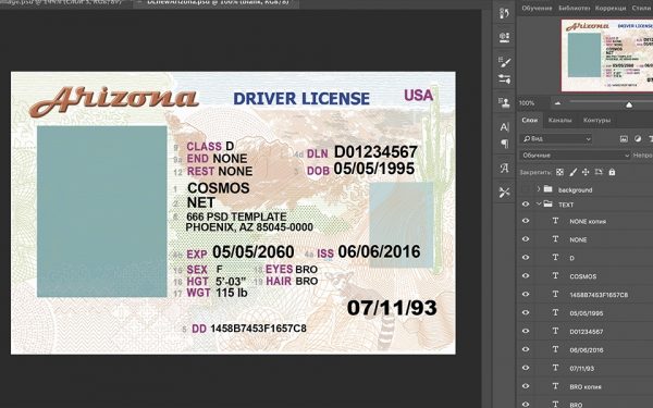 Arizona driver’s license PSD template