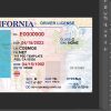 California driver’s license PSD template