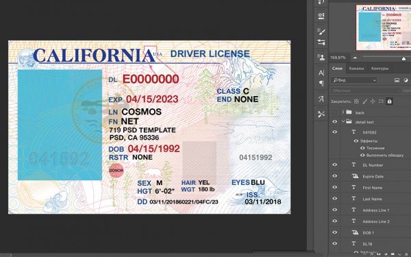 California driver’s license PSD template