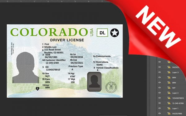 USA driver license Colodaro PSD new template photoshop