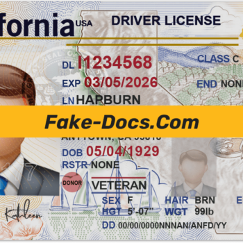 MEXICO Baja California driver license Psd Template | Fake Docs
