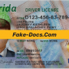 Florida driver license Psd Template front
