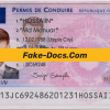 France driver license Psd Template
