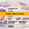 Georgia ID Card Psd Template