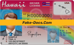 Hawaii driver license Psd Template front