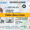Kentucky driver license Psd Template front
