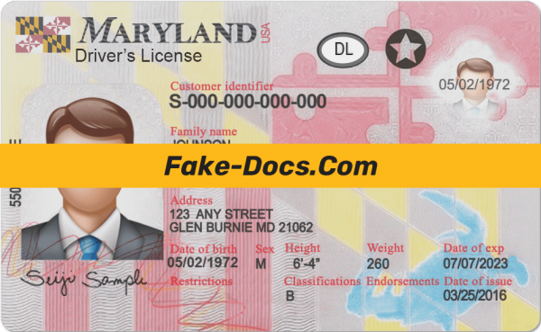 Maryland driver license Psd Template
