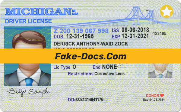 Michigan driver license Psd Template