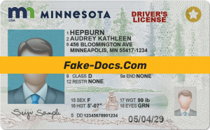 Minnesota driver license Psd Template
