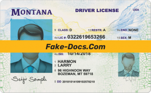 Montana driver license Psd Template