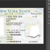 Free Printable new york Drivers License Template