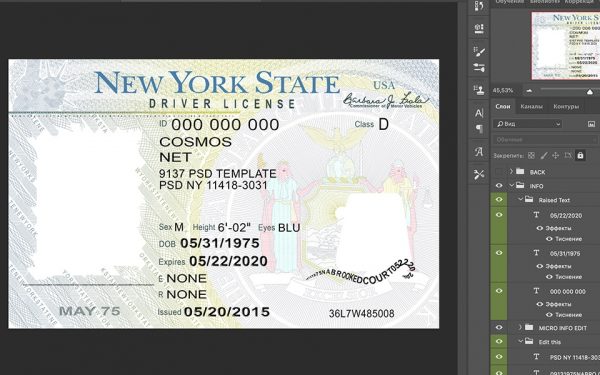 Free Printable new york Drivers License Template