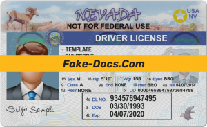 Nevada driver license Psd Template