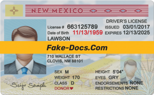 New Mexico driver license Psd Template