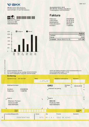 Norway Utility Bill psd Template: Norway Proof of address psd template