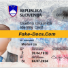 Slovenia ID Card Psd Template
