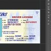 Texas driver’s license PSD template