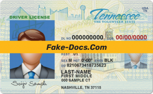Tennessee driver license Psd Template