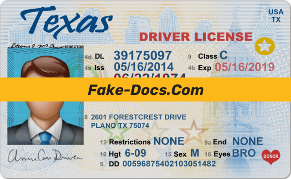Texas driver license Psd Template