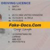 UK driver license Psd Template