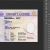 Virginia driver license Psd Template