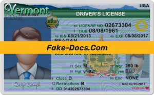 Vermont driver license Psd Template