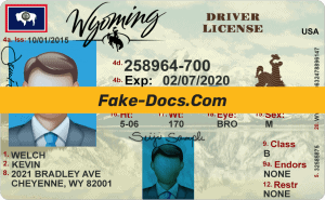Wyoming driver license Psd Template