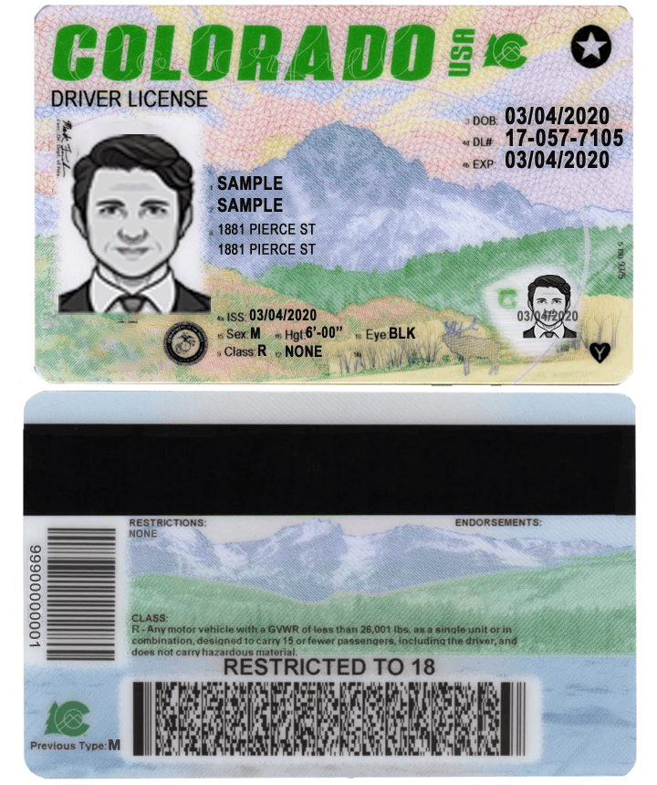 Colorado driver license Psd Template Colorado driver license Psd Template