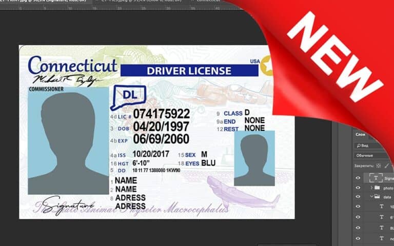 Connecticut driver license Psd Template | Fake Docs Shop
