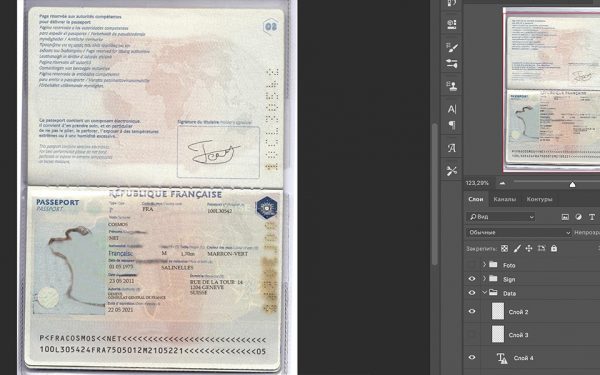 France Passport PSD template