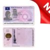 France driver license PSD editable template