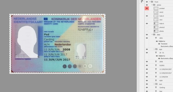 Netherlands ID PSD full template