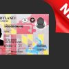 Free Printable maryland Drivers License Template