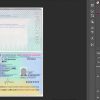 Netherlands Passport PSD rare template
