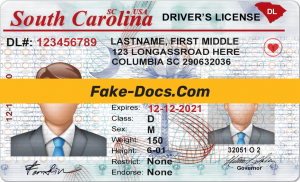 South Carolina driver license Psd Template (V2)