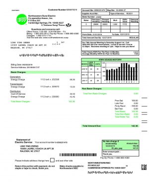 US Utility Bill psd template -5: US Proof of address psd template -5: USA Electric bill psd template