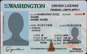 Washington driver license Psd Template NEW