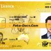 Australia Queenland Driver License PSD Template