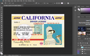 California Driver License PSD Template Free Download