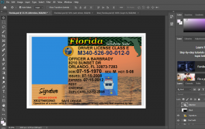 Florida Driver License PSD Template Free Download