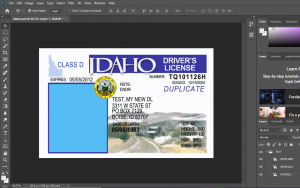 idaho Driver License PSD Template Free Download