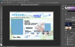 Maine Driver License PSD Template Free Download