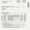 Bank Statement Template Custom Order Bank Statement Template Custom Order