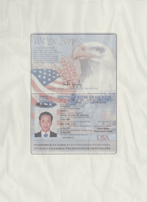 Fake Passport Template Custom Order Fake Passport Template Custom Order