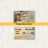 Estonia id card psd template scan