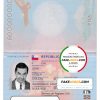 Chile Passport psd template