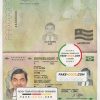 Togo Passport psd template scan effect