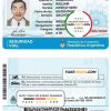 Argentina driver license Psd Template