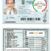 Ecuador driver license Psd Template