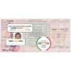 Guinea driver license Psd Template scan effect